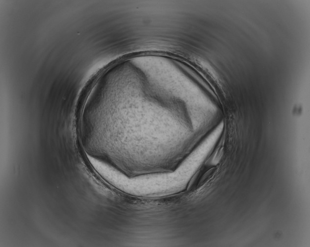 X0000090431072200708031124