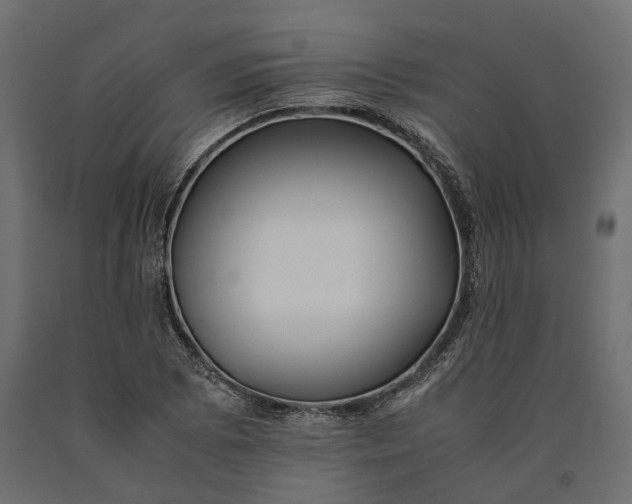 X0000090431073200708031124