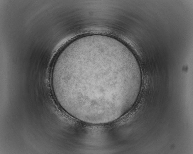 X0000090431074200708031124