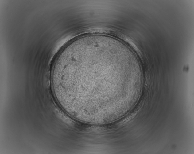 X0000090431075200708031124