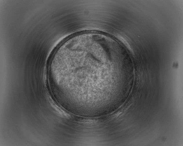 X0000090431076200708031124