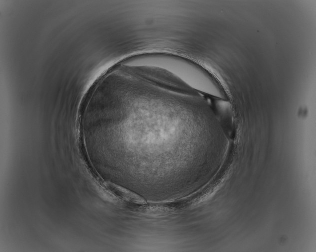 X0000090431077200708031124