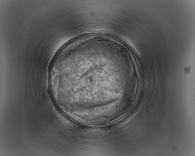 X0000090431079200708031124