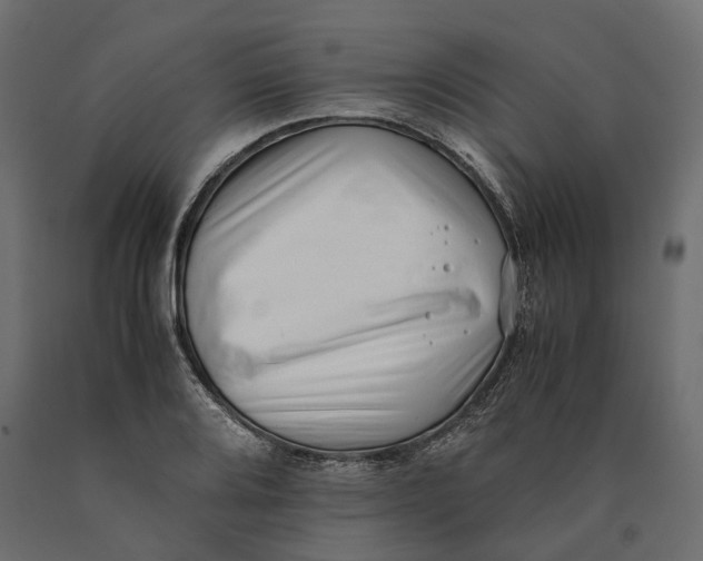 X0000090431080200708031124