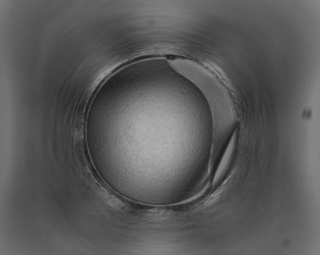 X0000090431081200708031124