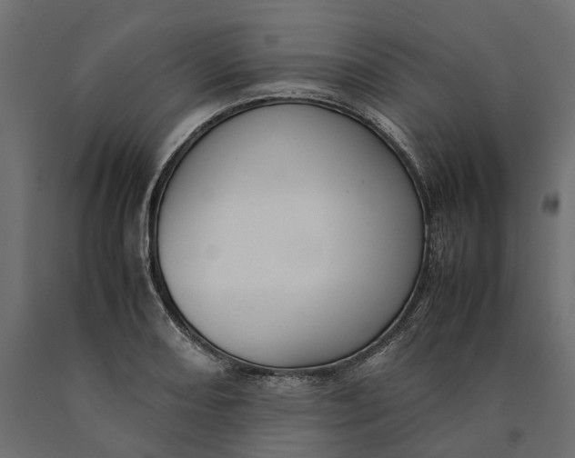 X0000090431082200708031124