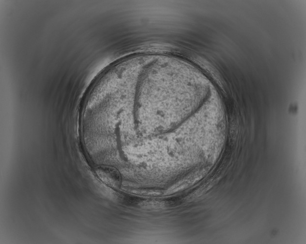 X0000090431083200708031124