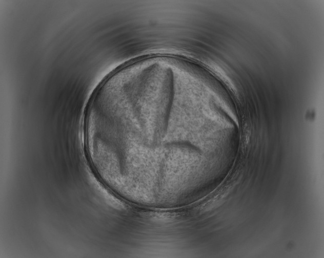 X0000090431084200708031124