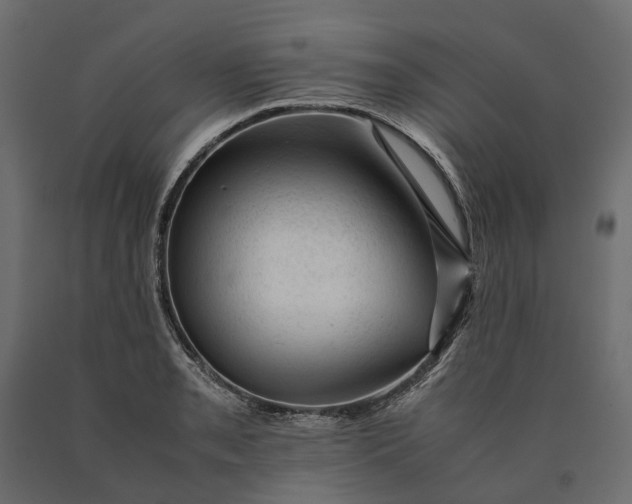 X0000090431085200708031124