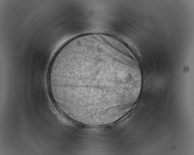 X0000090431086200708031124