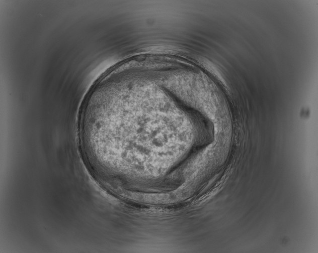 X0000090431087200708031124