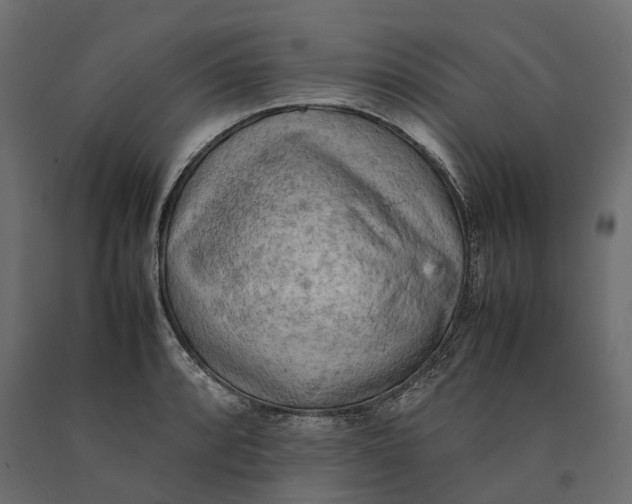 X0000090431088200708031124