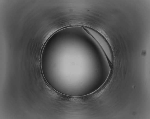 X0000090431089200708031124