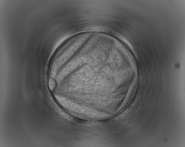 X0000090431091200708031124