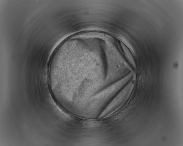 X0000090431092200708031124