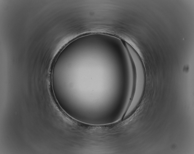 X0000090431093200708031124