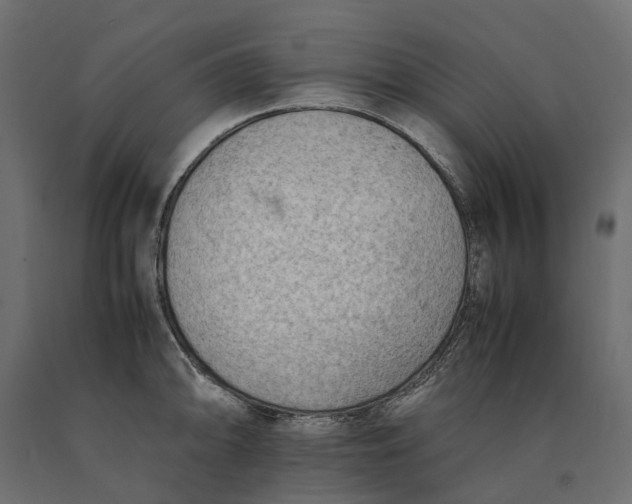 X0000090431094200708031124