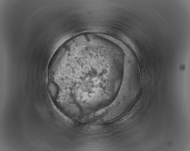 X0000090431095200708031123