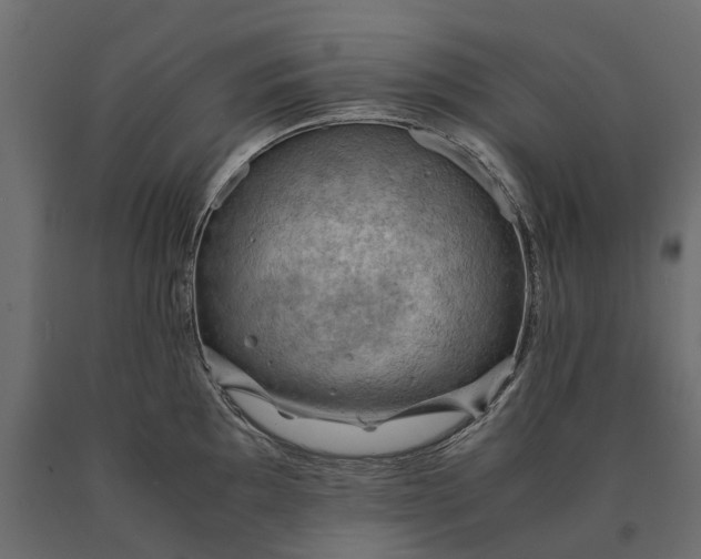 X0000090431097200708031123