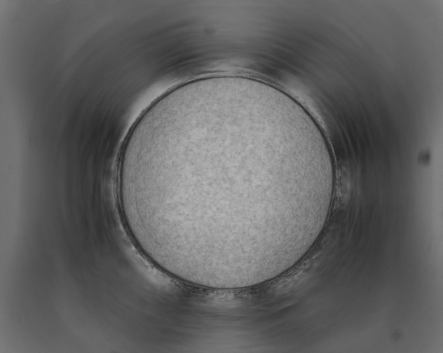 X0000090431098200708031123