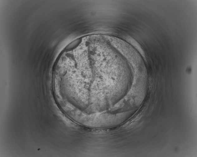 X0000090431099200708031123