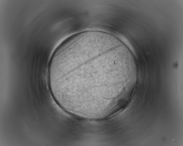 X0000090431100200708031123