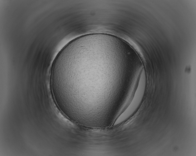 X0000090431102200708031123