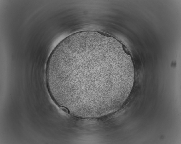 X0000090431103200708031123