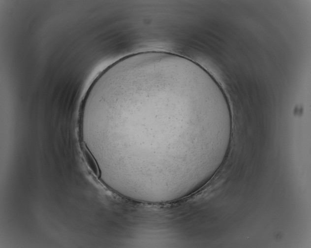 X0000090431104200708031123