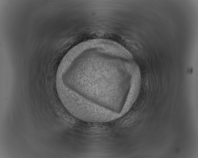 X0000090431105200708031122