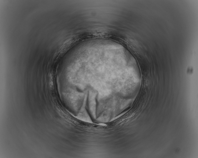 X0000090431106200708031122