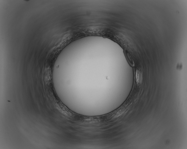 X0000090431107200708031122