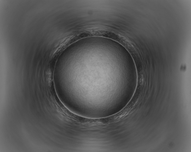 X0000090431108200708031123