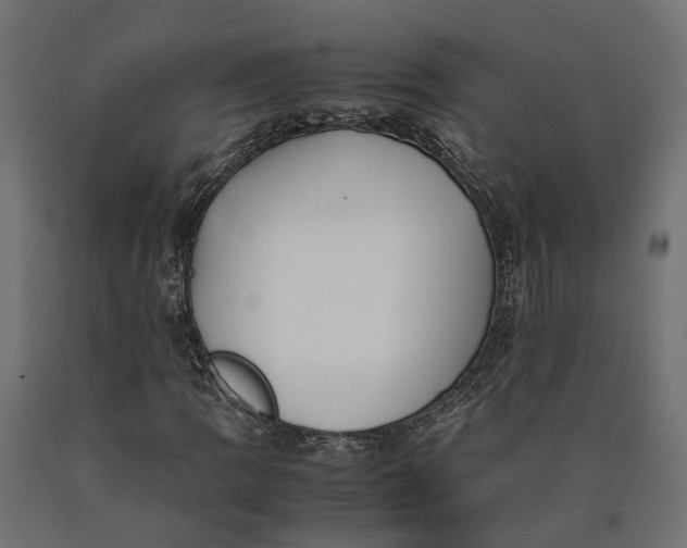 X0000090431109200708031123