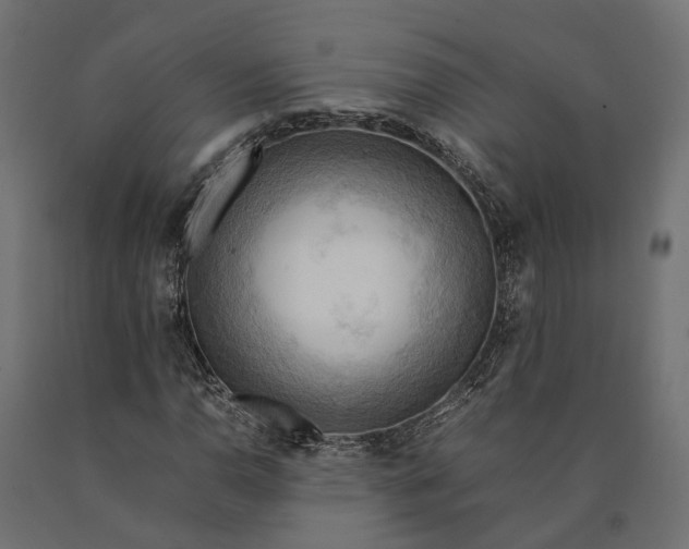 X0000090431110200708031123