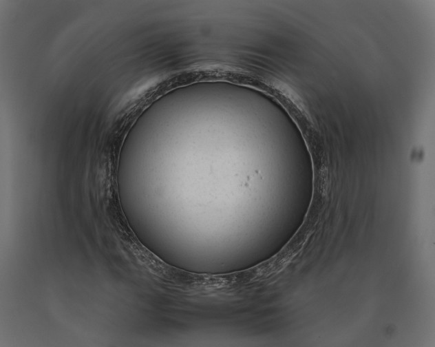 X0000090431111200708031123