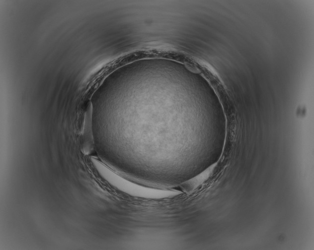 X0000090431112200708031123