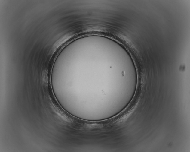 X0000090431113200708031123