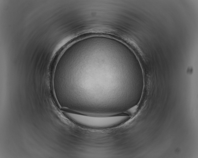 X0000090431114200708031123