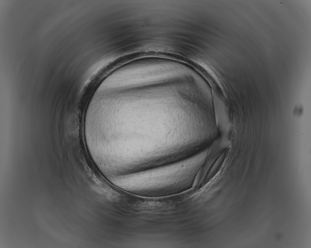 X0000090431115200708031123