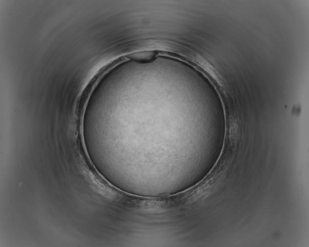 X0000090431116200708031123