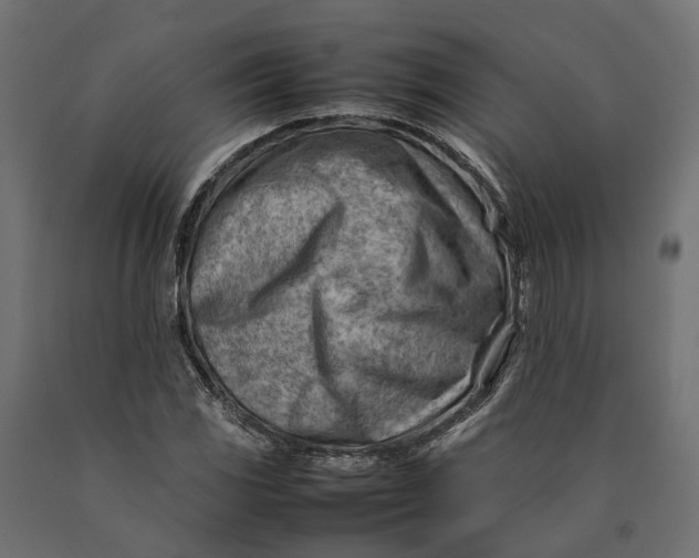 X0000090431117200708031123