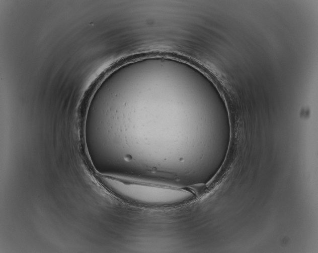 X0000090431118200708031123