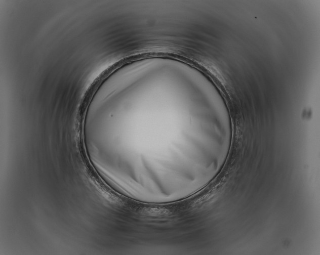 X0000090431119200708031123