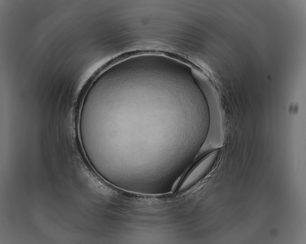 X0000090431120200708031123