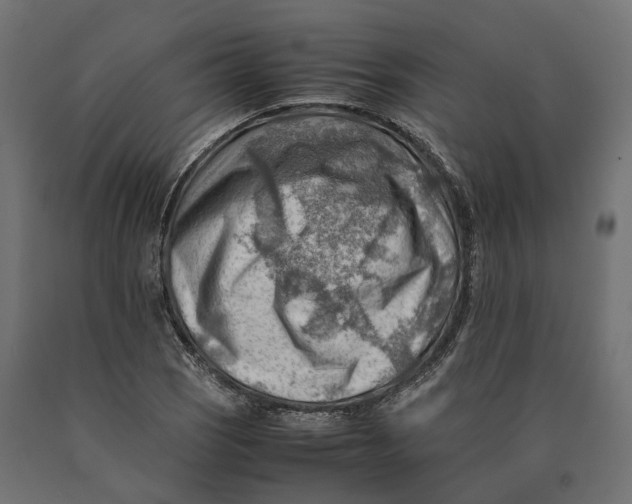 X0000090431121200708031123