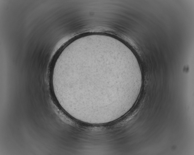 X0000090431122200708031123