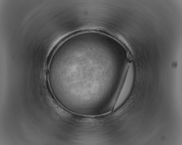 X0000090431124200708031123