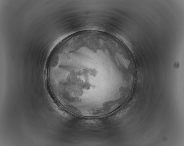 X0000090431125200708031123