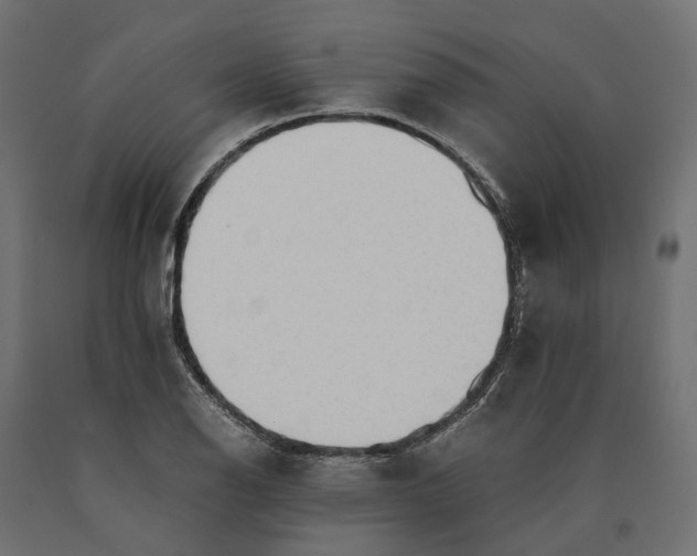 X0000090431126200708031123